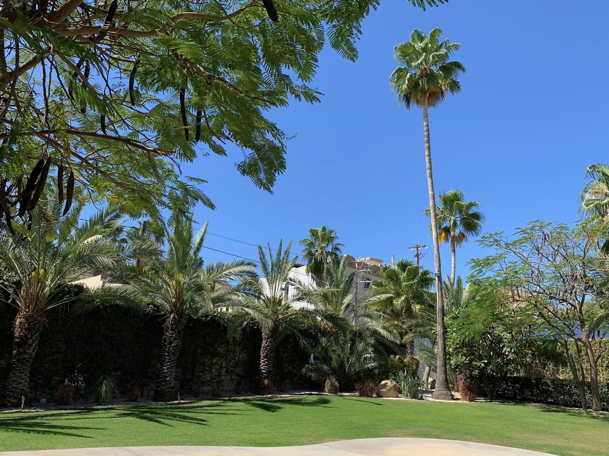 Los Milagros Hotel Cabo San Lucas Exteriör bild